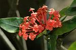 Dcim8605/DSC_7119
