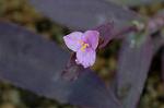 Dcim8605/DSC_7128