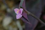 Dcim8605/DSC_7129
