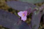 Dcim8605/DSC_7130