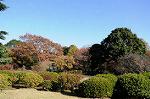 Dcim8607/DSC_8532