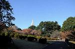 Dcim8607/DSC_8538