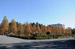 Dcim8607/DSC_8565