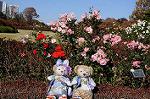 Dcim8607/DSC_8577