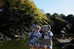 Dcim8607/DSC_8598