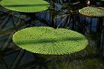 Dcim8607/DSC_8648