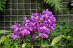 Dcim8608/DSC_8758