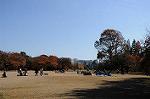 Dcim8609/DSC_8803