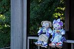 Dcim8609/DSC_8834