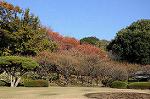 Dcim8609/DSC_8867