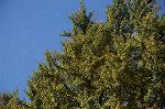 Dcim8609/DSC_8876
