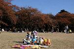 Dcim8609/DSC_8890