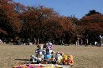 Dcim8609/DSC_8891