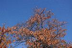 Dcim8609/DSC_8902