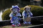 Dcim8610/DSC_8979