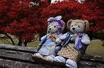 Dcim8612/DSC_9202