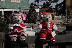 Dcim8623/DSC_0532