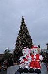 Dcim8625/DSC_0836