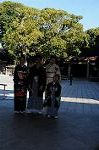 Dcim8634/DSC_1457
