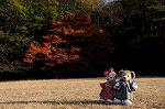 Dcim8634/DSC_1475