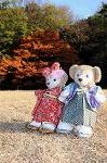 Dcim8634/DSC_1479