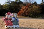 Dcim8634/DSC_1485