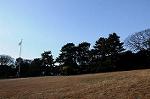 Dcim8634/DSC_1505