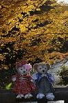Dcim8634/DSC_1525