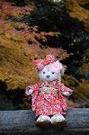 Dcim8634/DSC_1548