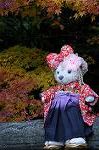 Dcim8634/DSC_1561