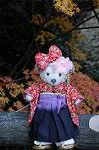 Dcim8635/DSC_1570