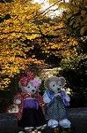 Dcim8635/DSC_1576