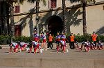 Dcim8639/DSC_2029