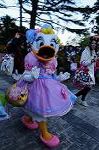 Dcim8646/DSC_3059