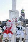 Dcim8651/DSC_3397