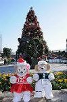 Dcim8652/DSC_3531