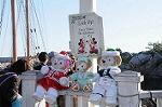 Dcim8652/DSC_3562