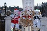 Dcim8652/DSC_3563