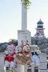 Dcim8652/DSC_3565