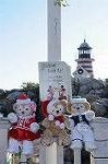 Dcim8652/DSC_3570