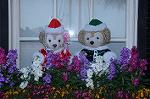 Dcim8652/DSC_3586