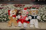Dcim8652/DSC_3600