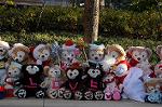 Dcim8653/DSC_3650