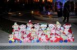 Dcim8654/DSC_3901