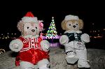 Dcim8655/DSC_4049