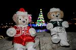 Dcim8655/DSC_4052
