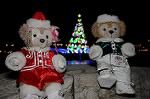 Dcim8655/DSC_4053