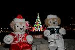 Dcim8655/DSC_4056