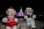 Dcim8655/DSC_4058