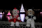 Dcim8659/DSC_4560